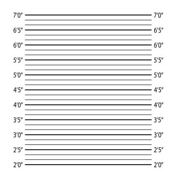 Polis teşhisi ya da sabıka kaydı. vektör.