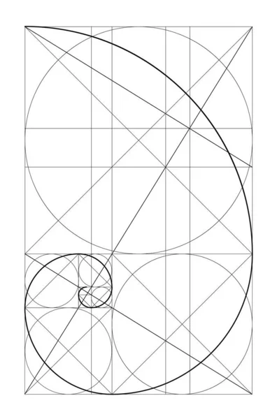 Vektör Altın Ilişki Şablonu Altın Spiral Altın Oran Fibonacci Dizisi — Stok Vektör