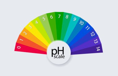 Asit ve alkalin çözeltileri için pH ölçeği. Asit bazlı denge bilgisi. Vektör illüstrasyonu