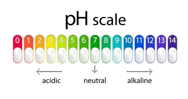 酸碱溶液Ph表 酸碱平衡信息图 矢量说明 — 图库矢量图片