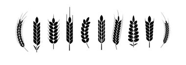 Buğday ve çavdar logo kulakları. Bira veya organik tarımsal gıda için arpa pirinç taneleri ve elementler. Vektör illüstrasyonu