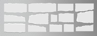 Şeffaf arkaplanda izole edilmiş gerçekçi yırtık beyaz kağıt kağıtlar. Düz olmayan dokusu olan yırtık boş sayfalar. Vektör illüstrasyonu