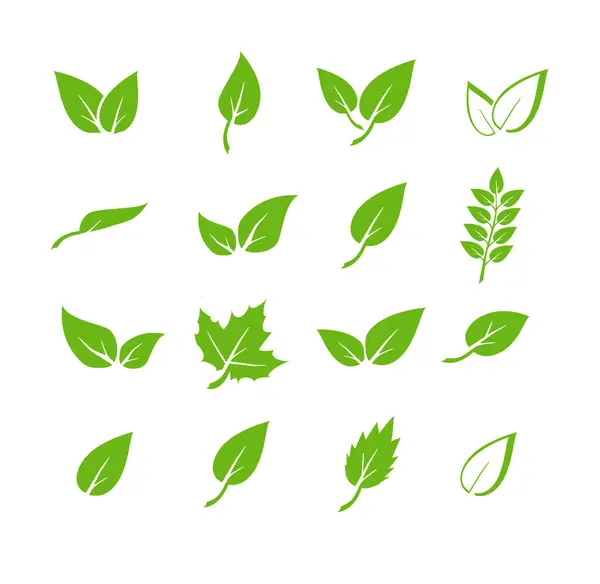 Zestaw Ikon Zielonych Liści Elementy Projektowania Dla Naturalnych Eko Wegańskie — Wektor stockowy
