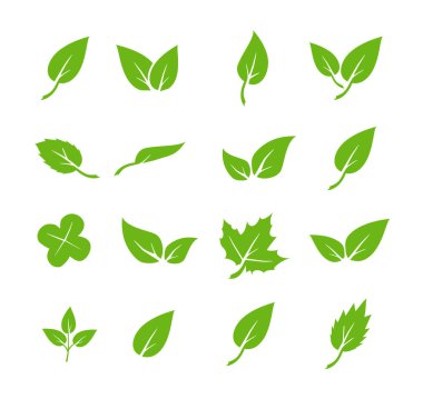 Yeşil yaprak simgeleri ayarlandı. Doğal, ekolojik ve vejetaryen elementler dizayn edilir. İzole edilmiş arkaplanda simge bırakır. Yeşil yaprak koleksiyonu. Vektör illüstrasyonu