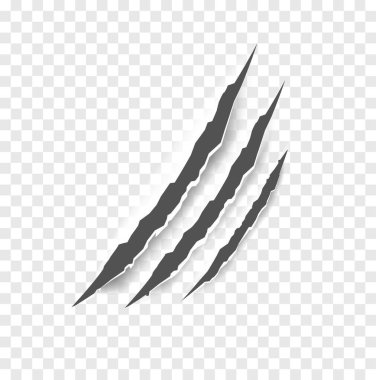 Kara Pençe çizikleri - vektör izole. Pençeler hayvan pençesi izleri kedi, kaplan ayı ya da aslan tırnağı çizikleri. Korku, Cadılar Bayramı canavarı. Vektör illüstrasyonu