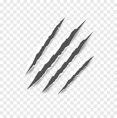 Kara Pençe çizikleri - vektör izole. Pençeler hayvan pençesi izleri kedi, kaplan ayı ya da aslan tırnağı çizikleri. Korku, Cadılar Bayramı canavarı. Vektör illüstrasyonu