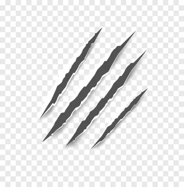 Griffe Noire Rayures Vecteur Isolé Griffes Griffures Griffes Animaux Traces — Image vectorielle