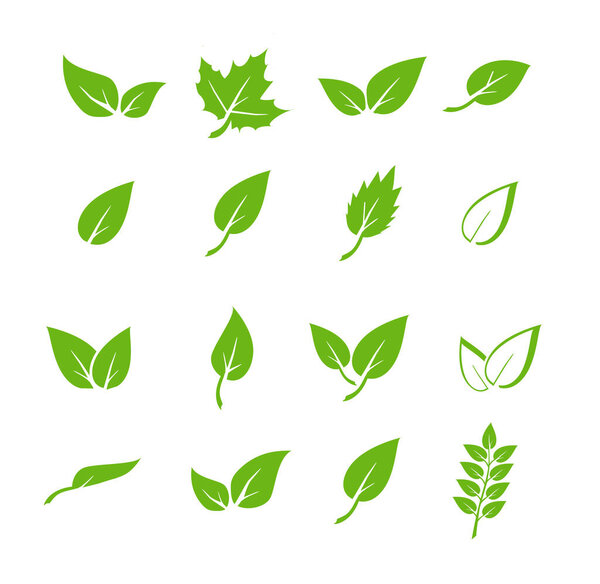 Green leaf icons set. Elements design for natural, eco, vegan. Leaves icon on isolated background. Collection green leaf. Vector illustration