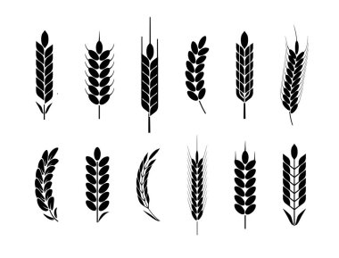 Buğday ve çavdar logo kulakları. Bira veya organik tarımsal gıda için arpa pirinç taneleri ve elementler. Vektör illüstrasyonu