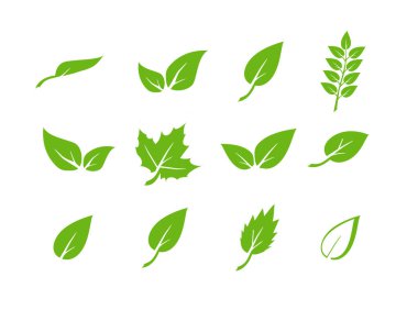 Yeşil yaprak simgeleri ayarlandı. Doğal, ekolojik ve vejetaryen elementler dizayn edilir. İzole edilmiş arkaplanda simge bırakır. Yeşil yaprak koleksiyonu. Vektör illüstrasyonu