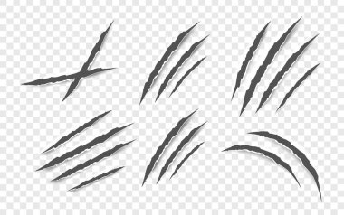 Kara Pençe çizikleri - vektör izole. Pençeler hayvan pençesi izleri kedi, kaplan ayı ya da aslan tırnağı çizikleri. Korku, Cadılar Bayramı canavarı. Vektör illüstrasyonu