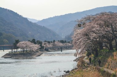 Uji Nehri ve Tachibanajima Adası Uji, Kyoto, Japonya 9 Nisan 2012
