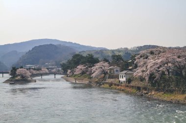 Uji Nehri ve Tachibanajima Adası Uji, Kyoto, Japonya 9 Nisan 2012