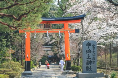 Japonya 'nın Kyoto şehrinde bahar günü Ujigami türbesi 9 Nisan 2012