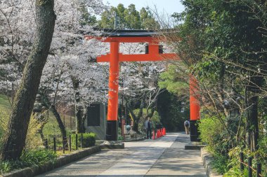 Japonya 'nın Kyoto şehrinde bahar günü Ujigami türbesi 9 Nisan 2012