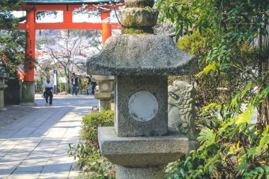 Japonya 'nın Kyoto şehrinde bahar günü Ujigami türbesi 9 Nisan 2012