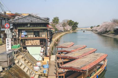 Japonya 'nın Kyoto şehrinde 9 Nisan 2012' de kiraz çiçekleri açan Uji Nehri