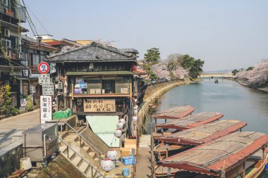 Japonya 'nın Kyoto şehrinde 9 Nisan 2012' de kiraz çiçekleri açan Uji Nehri