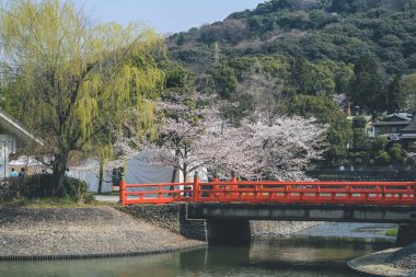 Uji Nehri ve No Shima, Tachibanajima Adası 9 Nisan 2012