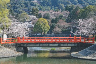 Uji Nehri ve No Shima, Tachibanajima Adası 9 Nisan 2012
