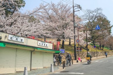 Nara 'daki Sanjo Dori Sokağı' nda kiraz çiçeği 9 Nisan 2012