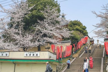 Nara 'daki Sanjo Dori Sokağı' nda kiraz çiçeği 9 Nisan 2012