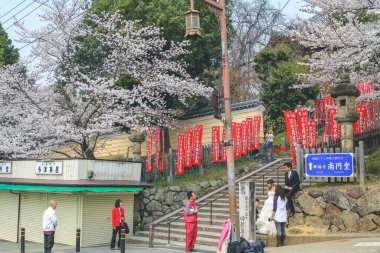 Nara 'daki Sanjo Dori Sokağı' nda kiraz çiçeği 9 Nisan 2012