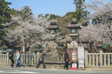 Himuro Tapınağı 'nın Torii Kapısı Nara' da 9 Nisan 2012