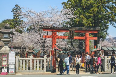 Himuro Tapınağı 'nın Torii Kapısı Nara' da 9 Nisan 2012