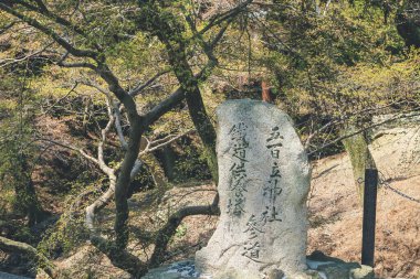 Nara, 9 Nisan 2012 'de Japonya' da önemli bir turizm merkezidir.