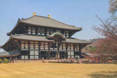 bir Todai ji Tapınağı, Dünya Mirası Alanı, Nara, Japonya 9 Nisan 2012