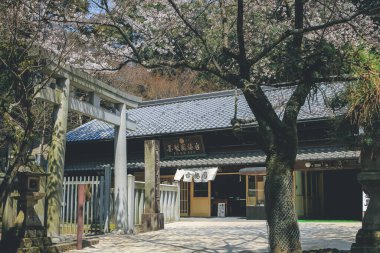 Nara Parkı manzarası, Japonya 9 Nisan 2012