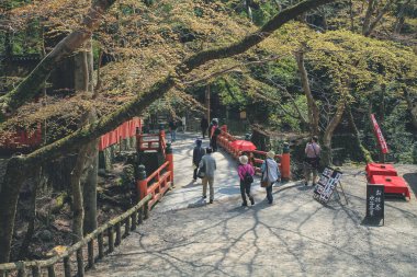 Kasuga Taisha tapınak yolu. kırmızı köprü 9 Nisan 2012