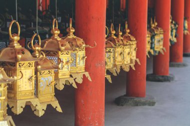Lamba, Kasuga Taisha türbesi, Nara, Japonya 9 Nisan 2012