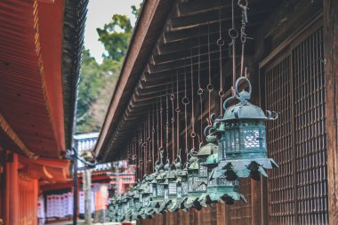 Lamba, Kasuga Taisha türbesi, Nara, Japonya 9 Nisan 2012