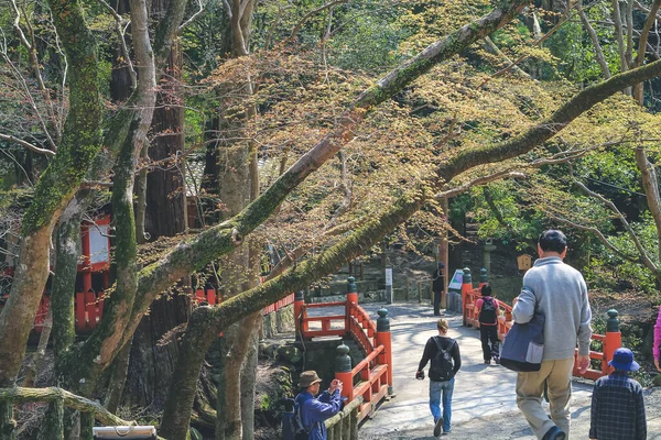 Kasuga Taisha tapınak yolu. kırmızı köprü 9 Nisan 2012