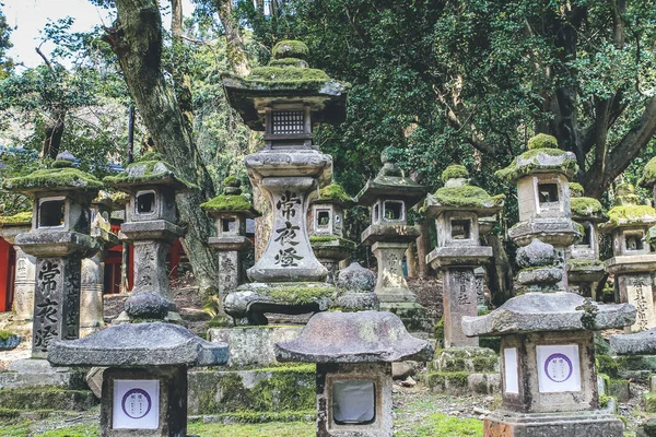 stock image a Japanese Stone Lanterns, Kasuga Taisha Shrine 9 April 2012