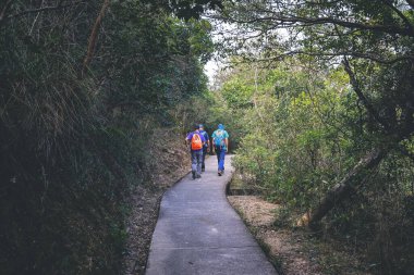 22 Oxct 2022 Sai Kung Doğu Şehir Parkı 'ndaki doğa yolu.