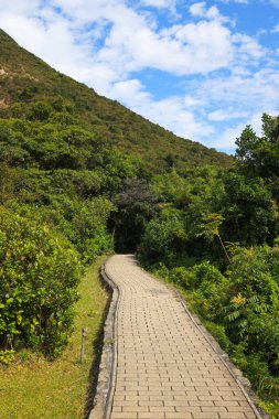 22 Oxct 2022 Sai Kung Doğu Şehir Parkı 'ndaki doğa yolu.