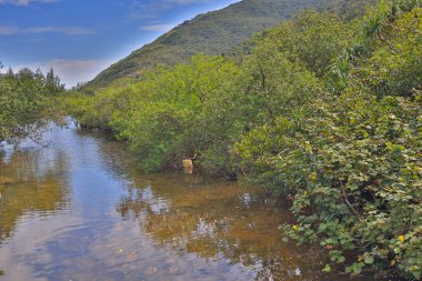 Sai kung 'da bir sai wan nehri.