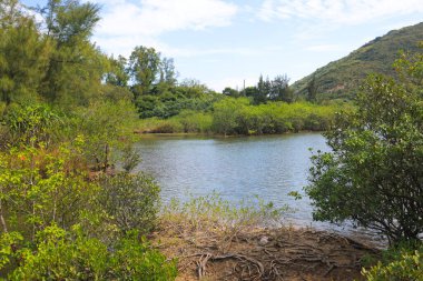 Sai kung 'da bir sai wan nehri.