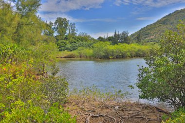 Sai kung 'da bir sai wan nehri.