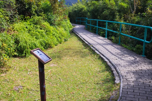 Oxct 2022 Sai Kung Doğu Şehir Parkı Ndaki Doğa Yolu — Stok fotoğraf