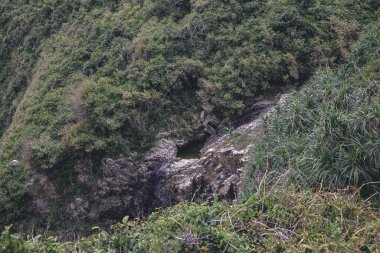 Hong Kong 'daki Doğu Sai Kung kır parkı.