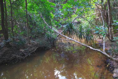Ham Tin Nehri, sia kung, hk
