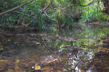 Ham Tin Nehri, sia kung, hk