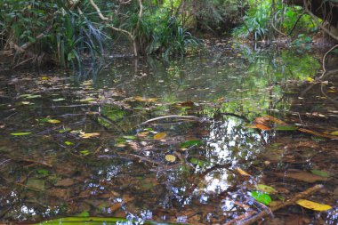 Ham Tin Nehri, sia kung, hk