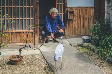 10 Nisan 2012 Akbalıkçıl evi terk etti, Japonya