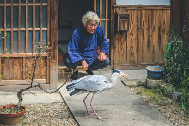 10 Nisan 2012 Akbalıkçıl evi terk etti, Japonya