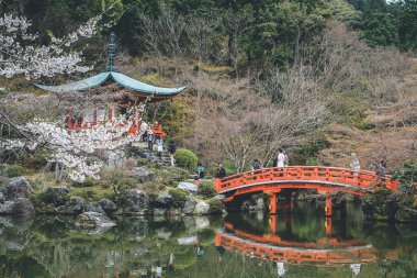 10 Nisan 2012 Daigo ji tapınağında güzel bir Japon bahçesi.